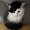 🔰 なりちゃんのプロフィール画像