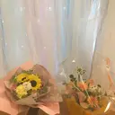 SHO KOのプロフィール画像