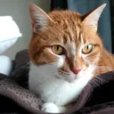 Bianca浦和西口 ⭐mitoのプロフィール画像