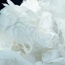 moe ネイルモデル募集のプロフィール画像