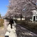 齋藤 桃花のプロフィール画像