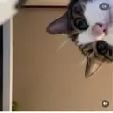 MADIA EMIのプロフィール画像