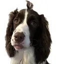 deg゜ kurumiのプロフィール画像