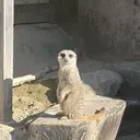 BellaLuna 高橋のプロフィール画像