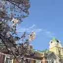 神本 嵐のプロフィール画像