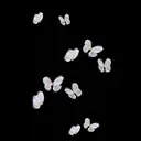 MAQUIA姶良店 追鳥のプロフィール画像