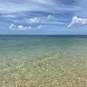 小橋 未夢のプロフィール画像