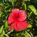 渡邉 さくらのプロフィール画像