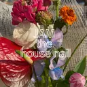 JAM the housenailのプロフィール画像