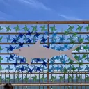 今澤 早希のプロフィール画像