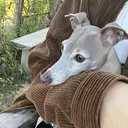 Betty / MAHIROのプロフィール画像