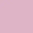 VENUSBELT Seyonのプロフィール画像