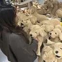 永原 采夏のプロフィール画像