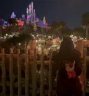 MAQUIA Mireiのプロフィール画像