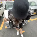 nailsalon reversalのプロフィール画像