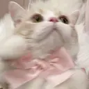 etora 目黒🪽のプロフィール画像