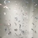 シバタ 西船橋のプロフィール画像