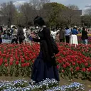 森本 朝香のプロフィール画像