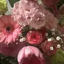 大門 樹奈のプロフィール画像