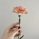 川島 美南のプロフィール画像