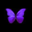 折笠 和奏のプロフィール画像