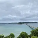 シードリン府内店 井原のプロフィール画像