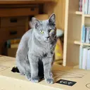 浅野 響生のプロフィール画像