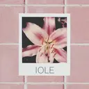 IOLE   恵比寿 shiinoのプロフィール画像