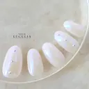 LUCULIA 渡邉のプロフィール画像