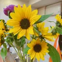 美容室 ヘアヴェールのプロフィール画像