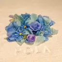 大人の 毛穴ケア専門店のプロフィール画像