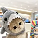 み かのプロフィール画像