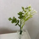 久保 舞のプロフィール画像