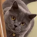 momoka 🍬のプロフィール画像