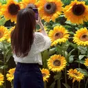 Cheri moekaのプロフィール画像