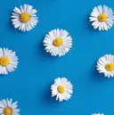 小林 麻里のプロフィール画像