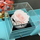 Fleur 神藤のプロフィール画像