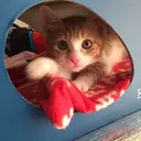 澤田 亜美のプロフィール画像