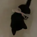 ELRe MIUのプロフィール画像