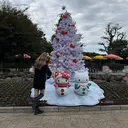 帆華 Ciyonのプロフィール画像