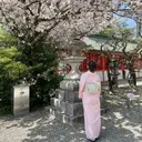 IRIS🫧 Ayaのプロフィール画像