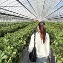 MAQUIA 名駅店 島のプロフィール画像