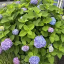 Enny なつのプロフィール画像