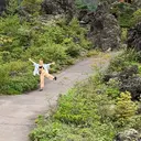 nana *:のプロフィール画像