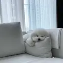 Miku .iのプロフィール画像