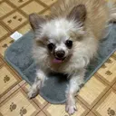 PuaMo. mikieのプロフィール画像