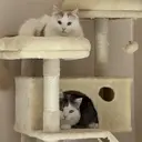 村田 紀里のプロフィール画像