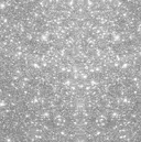 lit.渋谷公園通り marinoのプロフィール画像