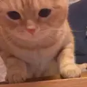 鄭 津のプロフィール画像