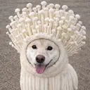 ASAKI Earthのプロフィール画像